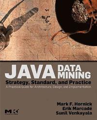 bokomslag Java Data Mining: Strategy, Standard, & Practice