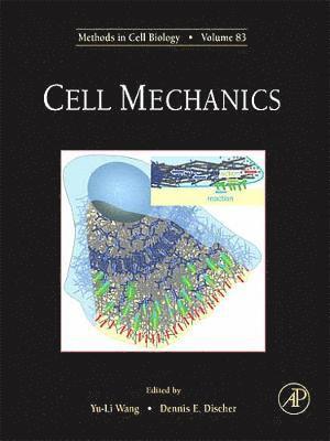 Cell Mechanics 1