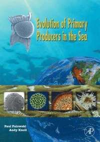 bokomslag Evolution of Primary Producers in the Sea