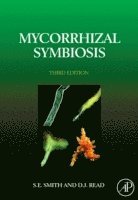 bokomslag Mycorrhizal Symbiosis