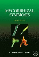 bokomslag Mycorrhizal Symbiosis