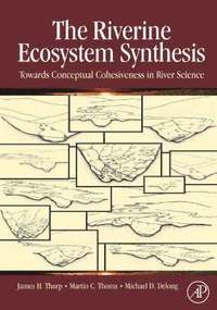 bokomslag The Riverine Ecosystem Synthesis