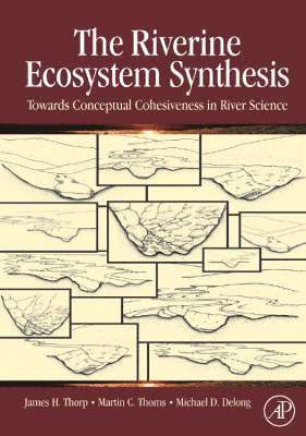 James H. Thorp, Martin C. Thoms, Michael D. Delong, James H Thorp, Martin C Thoms, Michael D DeLong - The Riverine Ecosystem Synthesis, Inbunden