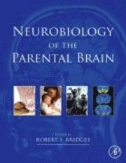 Bernd Kaspers, Karel A. Schat - Avian Immunology, Inbunden