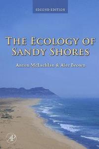 bokomslag The Ecology of Sandy Shores