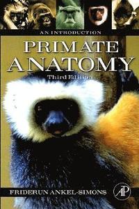 bokomslag Primate Anatomy