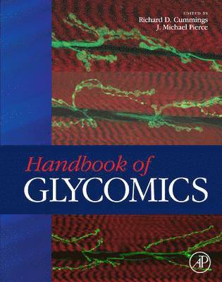 Richard D. Cummings, J. Michael Pierce, Richard D Cummings, J Michael Pierce - Handbook of Glycomics, Inbunden