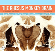 The Rhesus Monkey Brain in Stereotaxic Coordinates