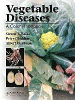 bokomslag Vegetable Diseases: A Color Handbook