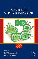 bokomslag Advances in Virus Research
