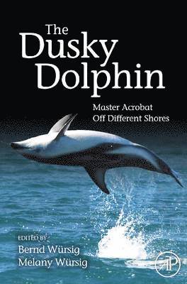 The Dusky Dolphin 1