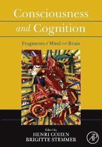 bokomslag Consciousness and Cognition