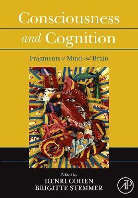 bokomslag Consciousness and Cognition