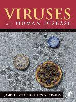 bokomslag Viruses and Human Disease