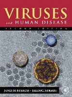 bokomslag Viruses and Human Disease