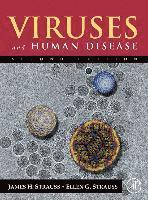 Ellen G. Strauss, James H. Strauss, Ellen G Strauss, James H Strauss - Viruses and Human Disease, Inbunden