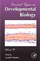 Gerald P. Schatten - Current Topics in Developmental Biology, Inbunden