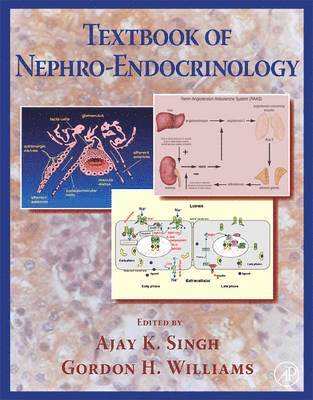 bokomslag Textbook of Nephro-Endocrinology