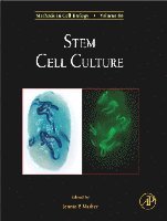 Jennie P. Mather - Stem Cell Culture, Inbunden