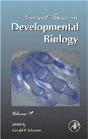 Gerald P. Schatten - Current Topics in Developmental Biology, Inbunden