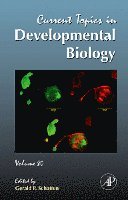 Gerald P. Schatten - Current Topics in Developmental Biology, Inbunden
