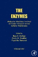 bokomslag The Enzymes