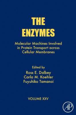 The Enzymes 1