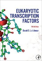 bokomslag Eukaryotic Transcription Factors