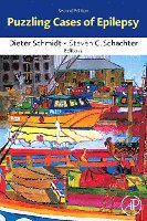 Dieter Schmidt, Steven C. Schachter - Puzzling Cases of Epilepsy, Häftad