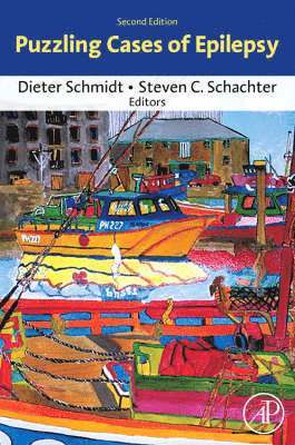 Dieter Schmidt, Steven C. Schachter, Berlin) Schmidt, Dieter (Epilepsy Research Group, CIMIT) Schachter, Steven C. (Professor of Neurology, Harvard Medical School, Chief Academic Officer, MD Schachter, Steven C. - Puzzling Cases of Epilepsy, Häftad