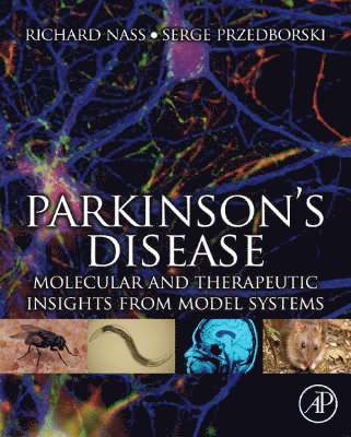 Parkinson's Disease 1