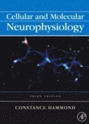 Cellular and Molecular Neurophysiology
