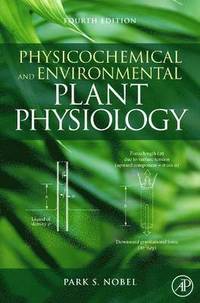 bokomslag Physicochemical and Environmental Plant Physiology