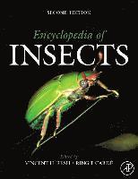 Vincent H. Resh, Ring T. Card� - Encyclopedia of Insects, Inbunden