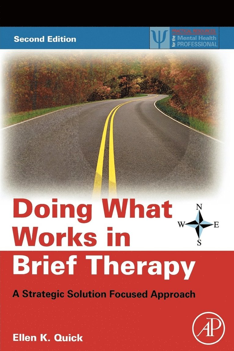 Doing What Works in Brief Therapy 1