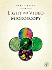 Light and Video Microscopy