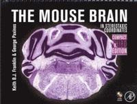 bokomslag The Mouse Brain in Stereotaxic Coordinates, Compact