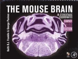 The Mouse Brain in Stereotaxic Coordinates, Compact 1