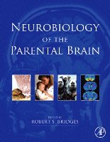 Robert Bridges - Neurobiology of the Parental Brain, Inbunden