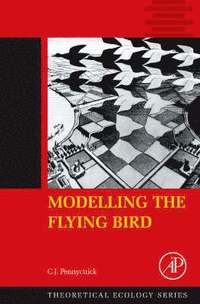 bokomslag Modelling the Flying Bird