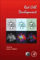 Red Cell Development, Inbunden