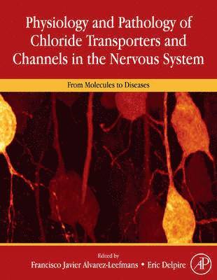 Physiology and Pathology of Chloride Transporters and Channels in the Nervous System 1