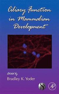 bokomslag Ciliary Function in Mammalian Development