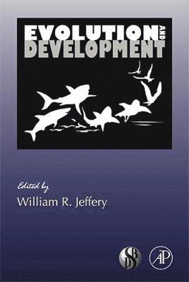 Evolution and Development 1