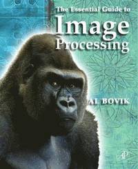 bokomslag The Essential Guide to Image Processing Book/CD Package