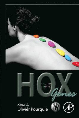 bokomslag HOX Genes