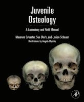 bokomslag Juvenile Osteology: A Laboratory And Field Manual
