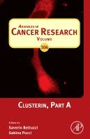 Clusterin, Inbunden