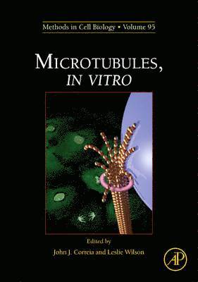 Microtubules, in vitro