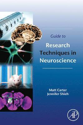 Matt Carter, Jennifer C. Shieh - Guide to Research Techniques in Neuroscience, Häftad